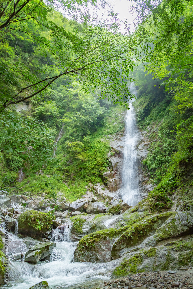 西丹沢　本棚の滝