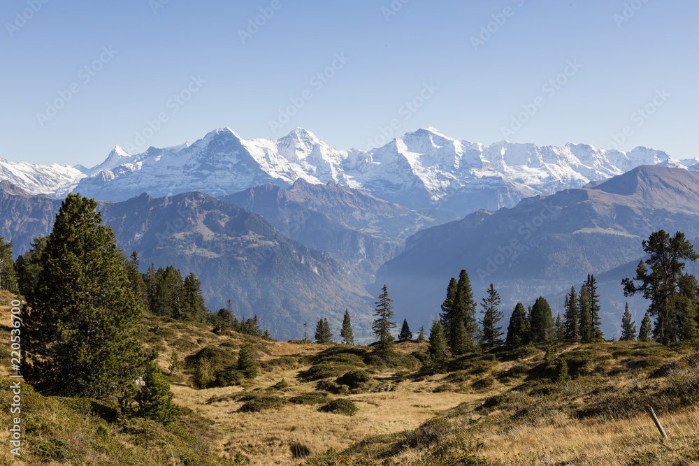 与Eiger，Moench一起，瑞士伯尔尼高地Niederhorn的秋季高山景观