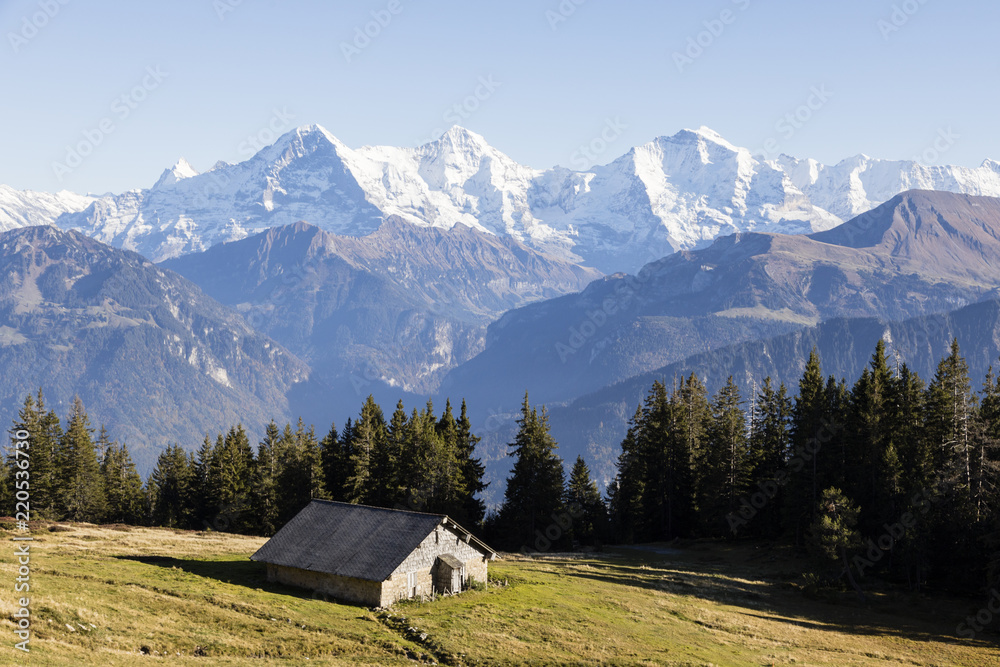 与Eige一起在瑞士伯尔尼高地的Niederhorn上建造小屋的秋季高山景观