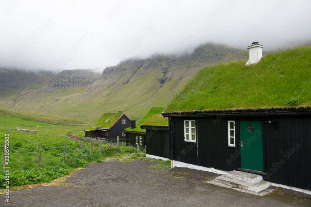 绿草如茵的山谷和绿色屋顶的传统黑房子的美景。