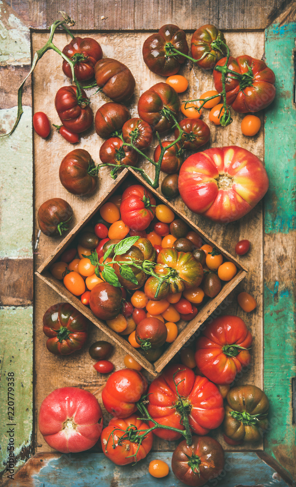Flat-lay of fresh colorful ripe Fall or Summer heirloom, bunch and cherry tomatoes veriety on tray o