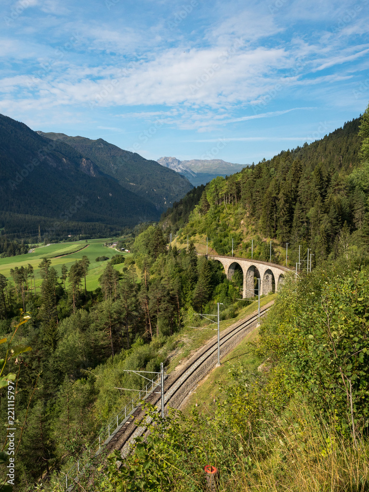 瑞士的火车和桥梁，有绿色的斜坡。从阿尔布拉/