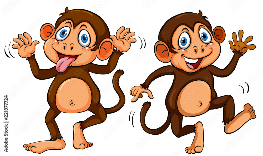 两只可爱的卡通猴子