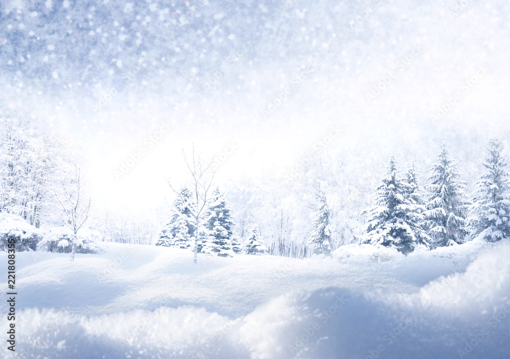 带复制空间的冬季圣诞节风景背景。雪景，冷杉树被雪覆盖，