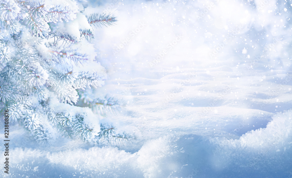 带复制空间的冬季圣诞节风景背景。雪覆盖着杉树的雪景