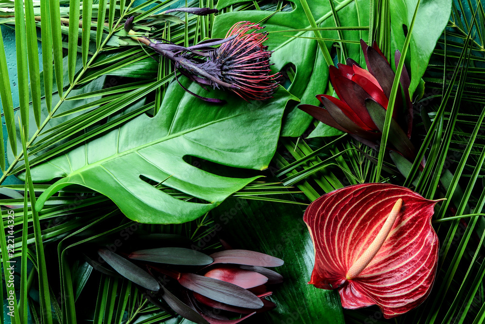 Beautiful flowers on green tropical leaves