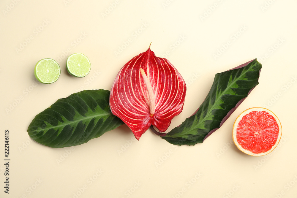 色彩背景上有新鲜热带树叶、花朵和水果的夏季构图