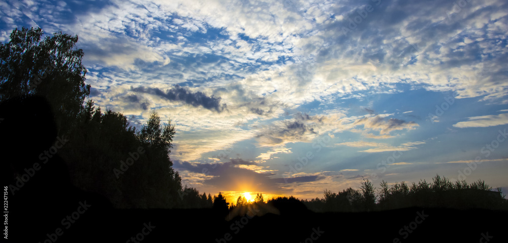 夕阳斜阳美丽的云彩森林框架