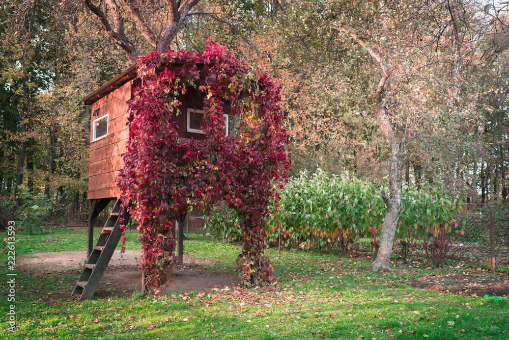 秋天花园里，树上的房子从内部发光，长满了红色藤蔓