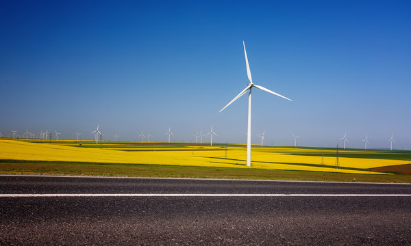 风力涡轮机。有风车的田地。盛开的油菜籽田。可再生能源。保护环境