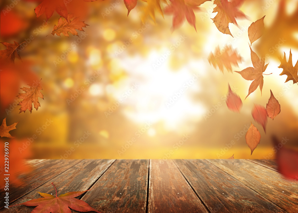 户外一张质朴的旧木桌，背景是秋天的树叶。