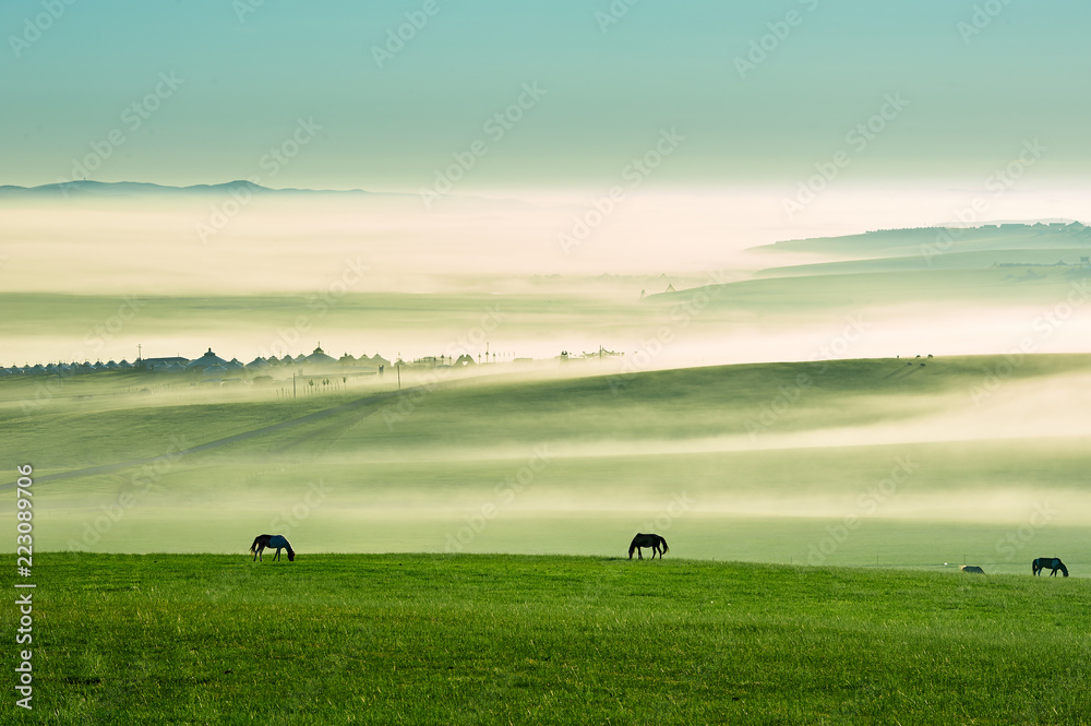 中国呼伦贝尔草原的清晨空气。