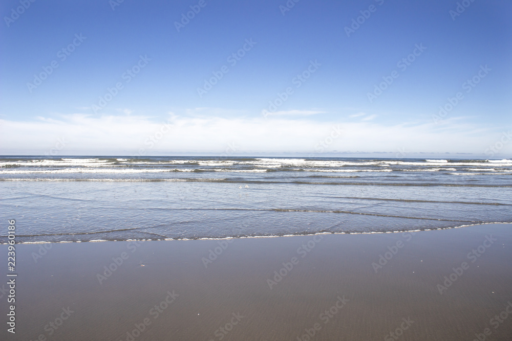 沿海海洋海滩蓝天白云倒影和海鸟