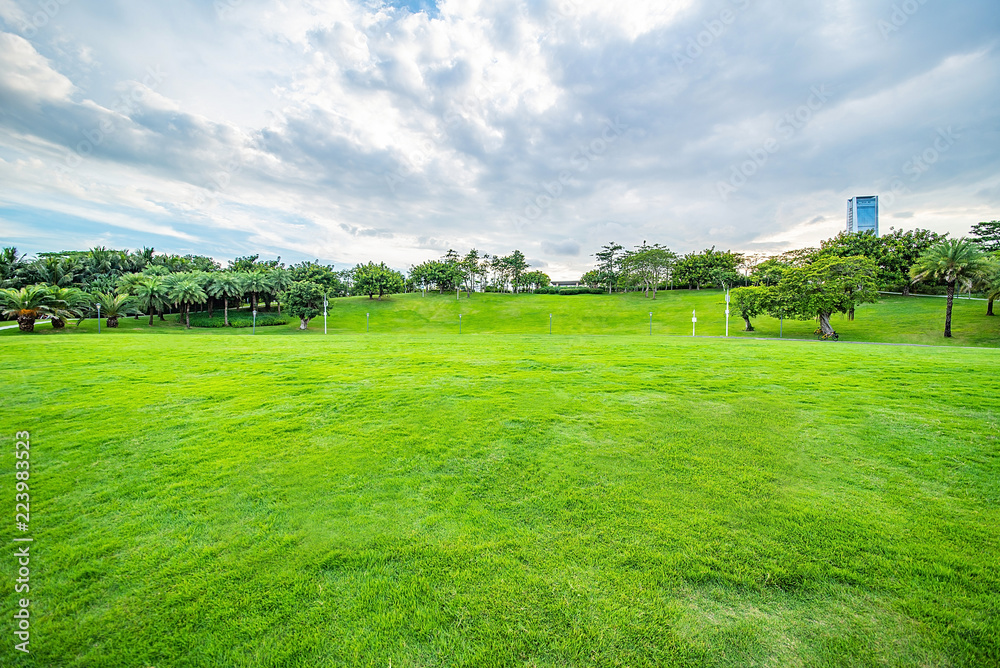 Large lawn in Shenzhen Bay Park
