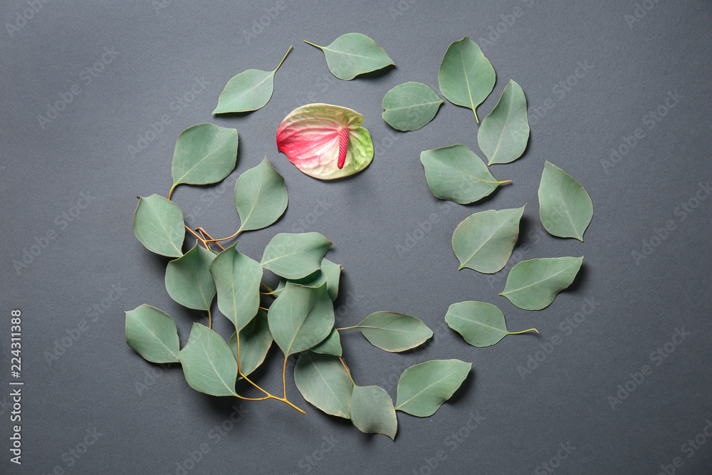 Eucalyptus leaves with anthurium flower on grey background