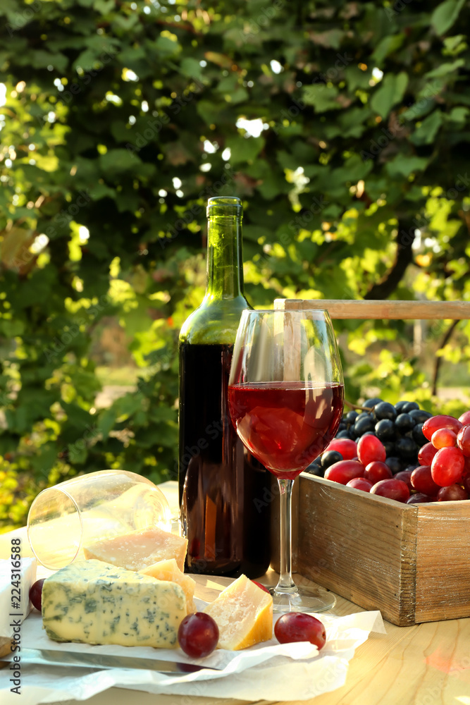 葡萄园餐桌上的一杯和一瓶红酒配奶酪