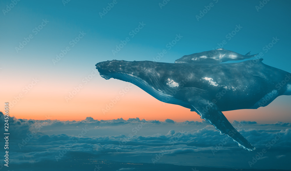 天空中的鲸鱼家族