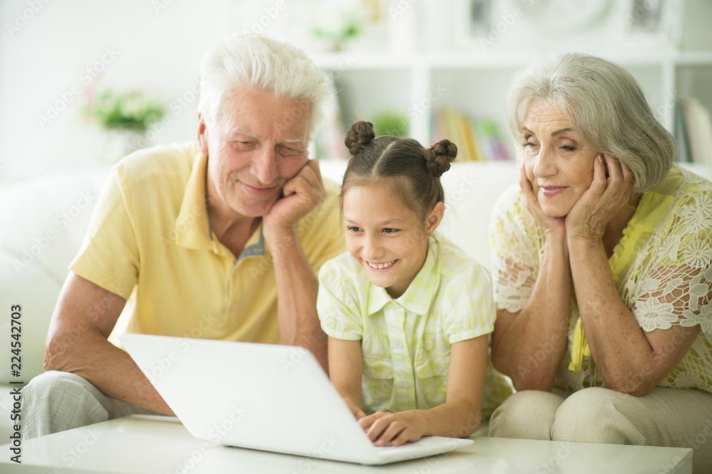 祖父母和孙女使用笔记本电脑的肖像