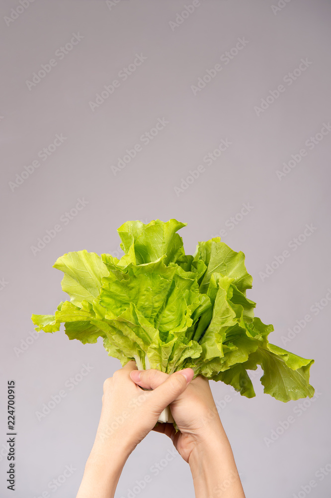 A Woman is holding lovely and healthy vegetables(Chinese cabbage, Bok-choy) in hands, concept of dir
