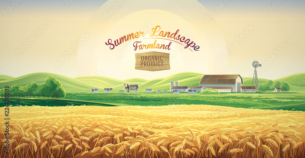 夏季乡村景观，有奶牛和农场，还有麦田，黎明时分在山丘上，带有tematic标签。