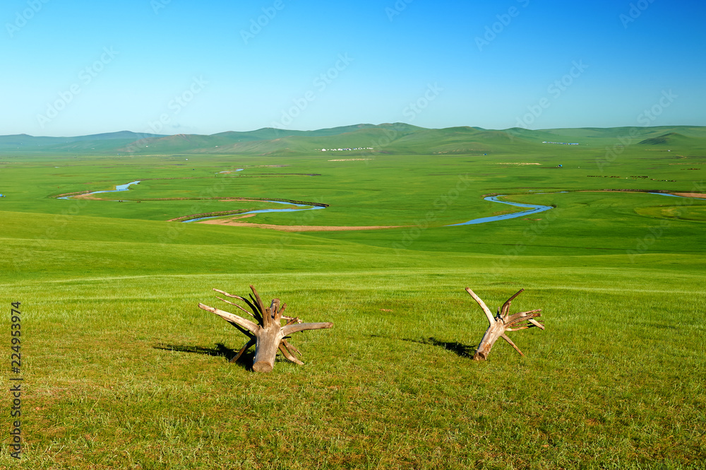中国呼伦贝尔草原的木孜格勒河谷。