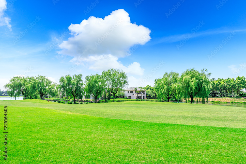城市公园中的绿色广场草坪和森林自然景观