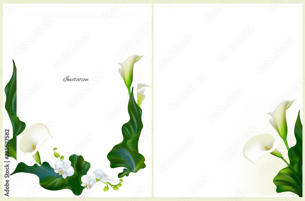 鲜花。邀请。兰花。花卉背景。明信片。马蹄莲。绿叶。花卉图案。花束