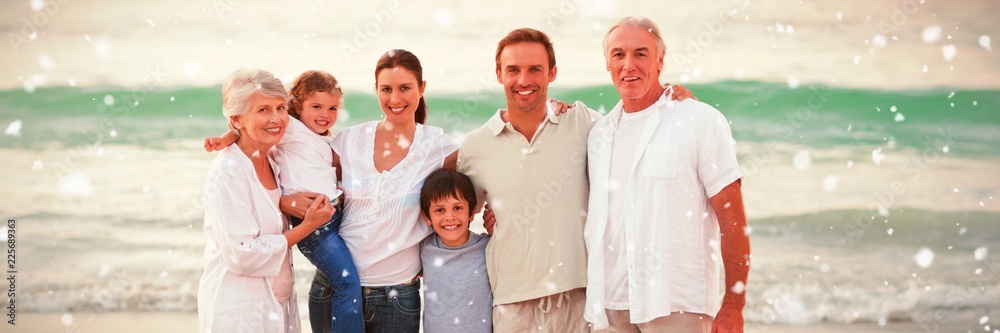 海滩上美丽家庭的合成图像