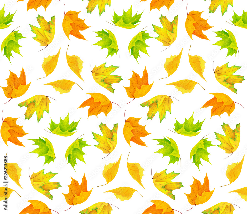 无缝图案，彩色秋叶隔离在白色背景上，带有修剪路径