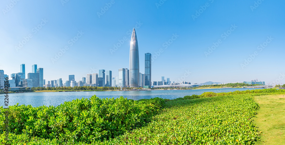 深圳城市风光全景图