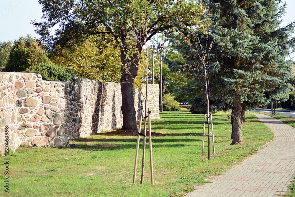 Fragment of the fortress wall with the entrance gates