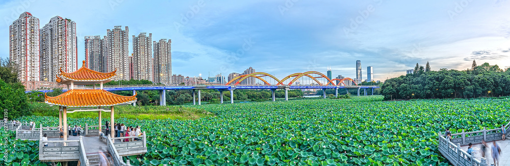 深圳洪湖公园全景/荷塘彩虹桥