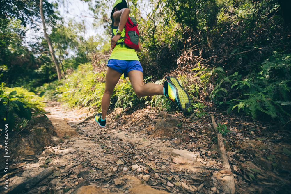 在热带森林步道上跑步的年轻女子跑步者