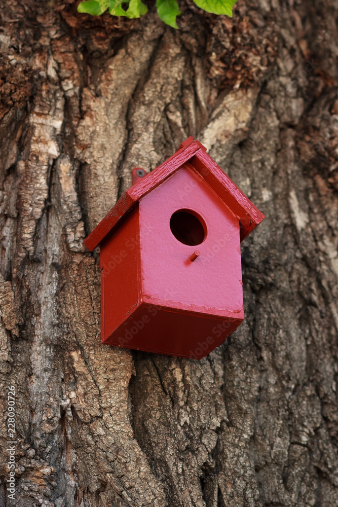 Red color painted birdhouse. Nesting box on tree.