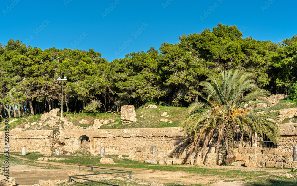 迦太基圆形剧场，位于突尼斯突尼斯的一座古罗马圆形剧场