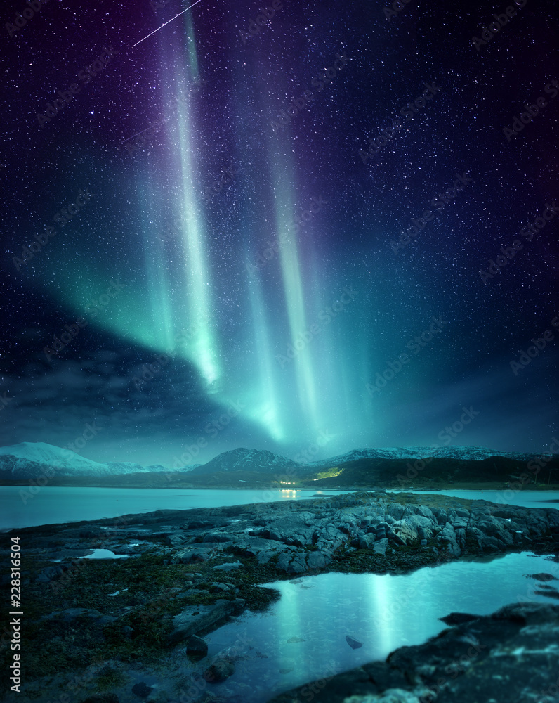 壮观的北极光极光展示照亮了挪威北部的夜空。很受欢迎
