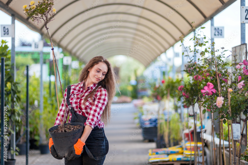 Gardener woman in a garden center carrying small potted tree