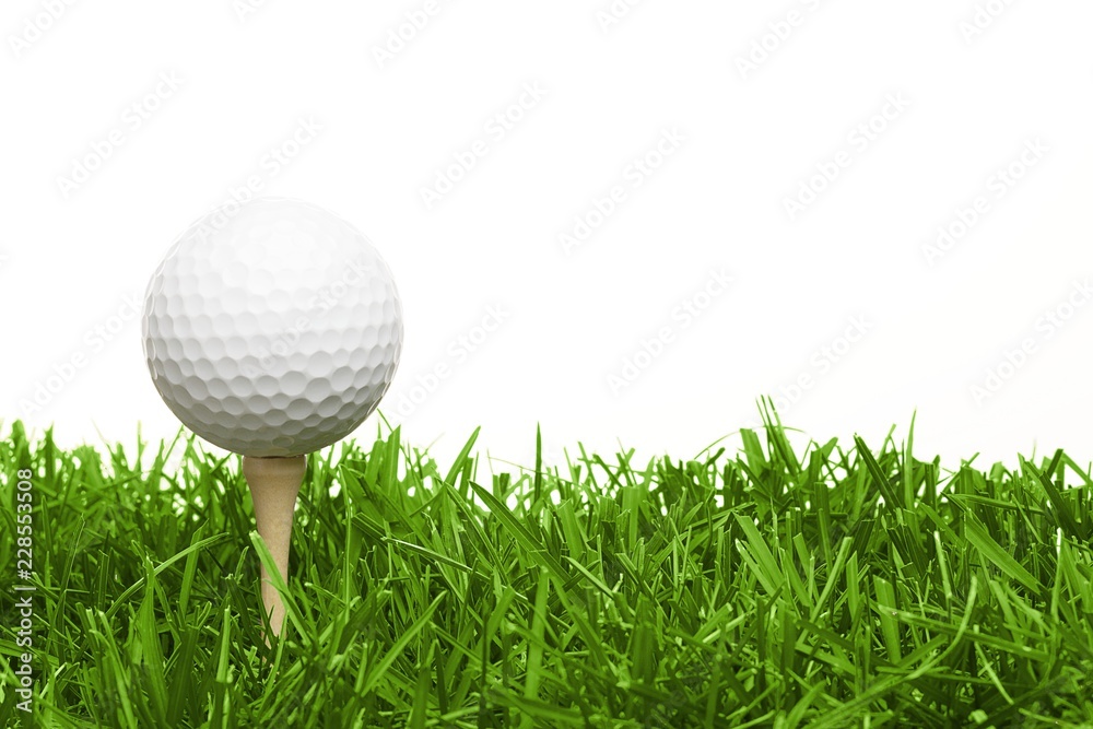 草地上有高尔夫球座的高尔夫球