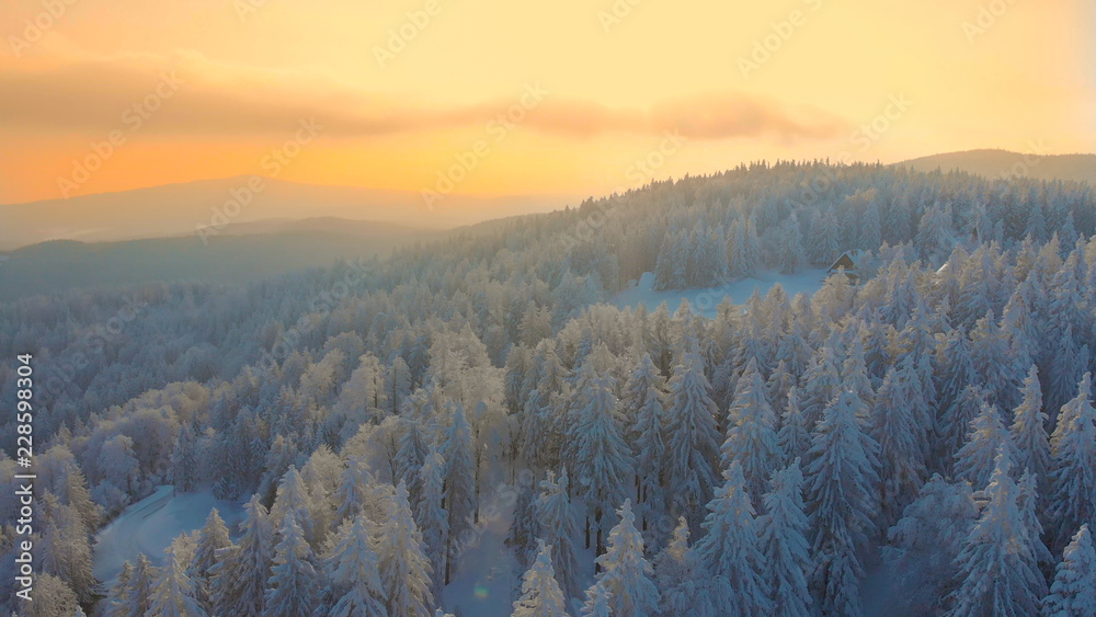 空中表演：日出时，雪地里孤独的木屋令人叹为观止。
