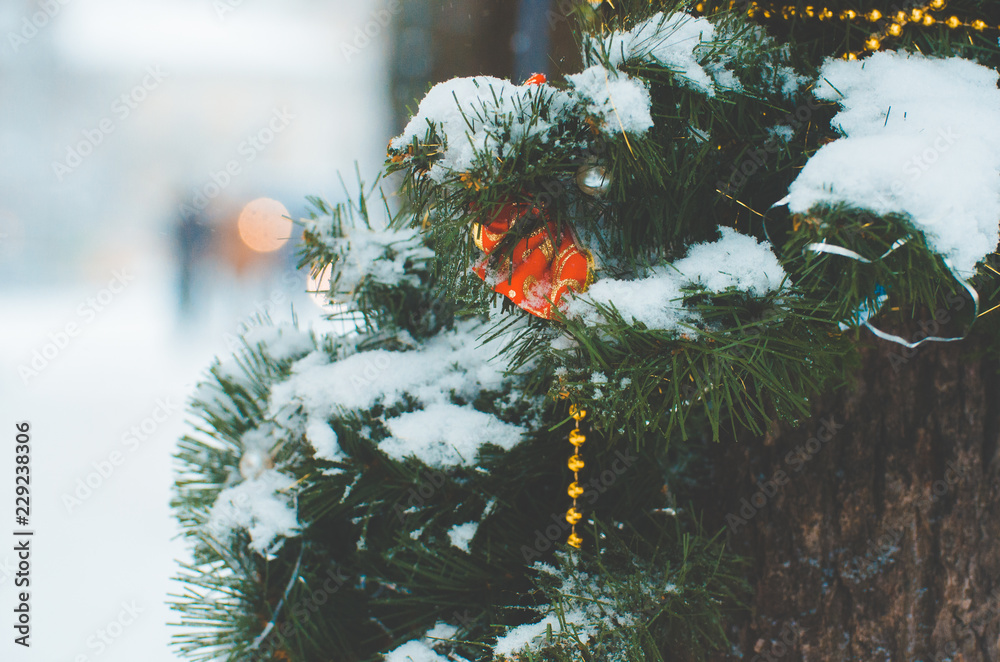 寒假与装饰理念——白雪覆盖的冷杉树枝上的红色圣诞球