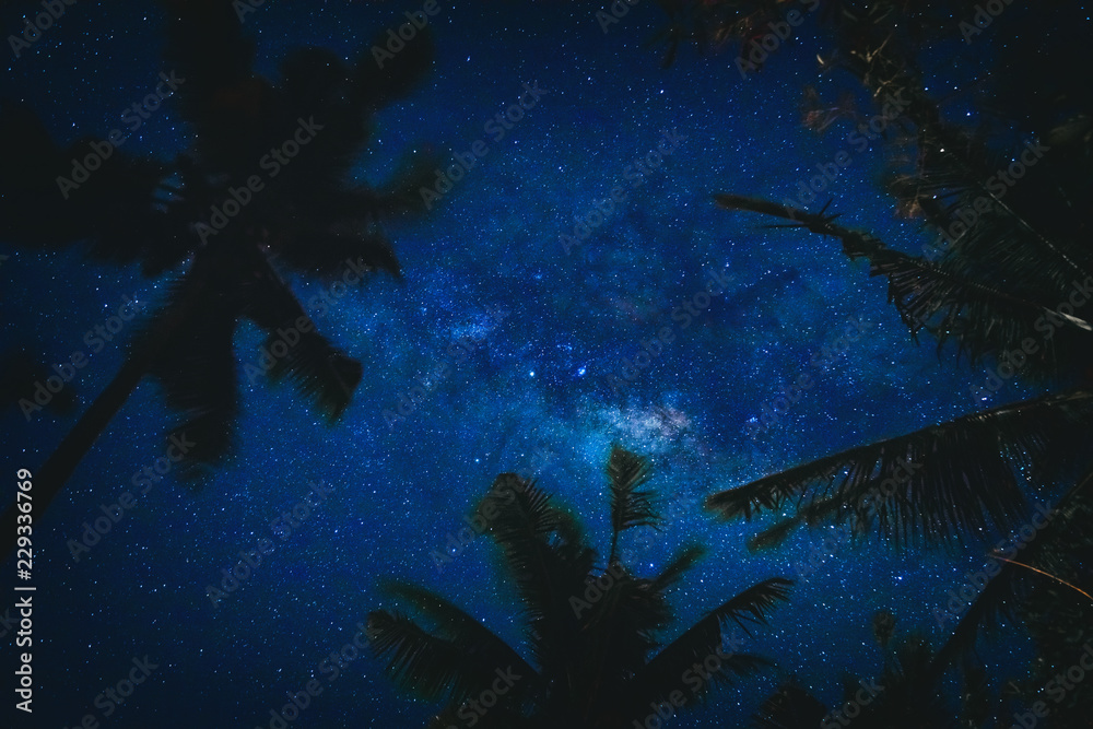 椰子树与南半球银河系恒星的剪影。