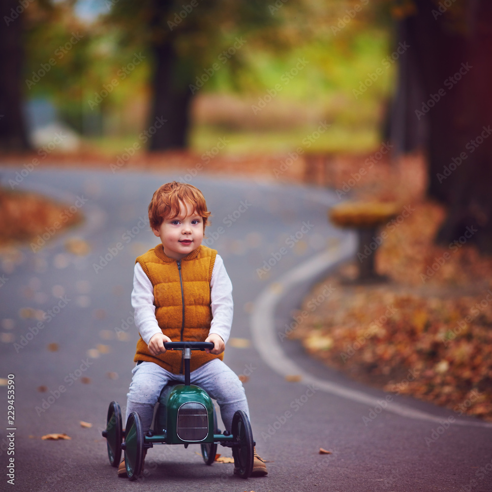 可爱的红发男婴在秋季公园开着推拉车