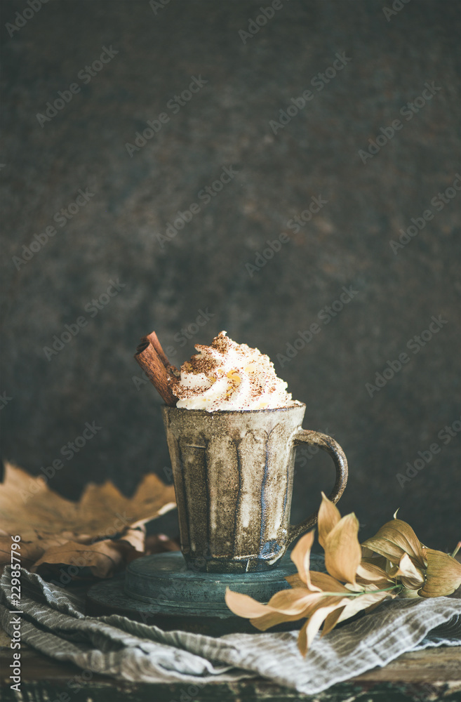 秋天或冬天的热巧克力或咖啡，加生奶油和肉桂，装在乡村马克杯里，深色backgro