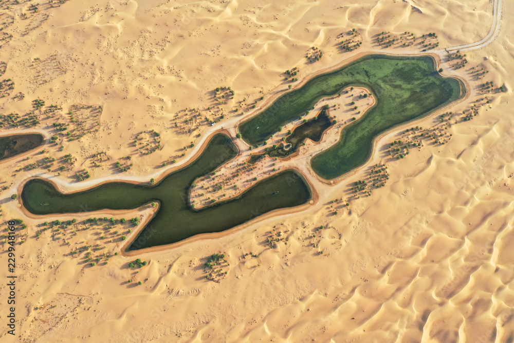 沙漠中美丽绿洲中的湖泊和树木。阿联酋迪拜。