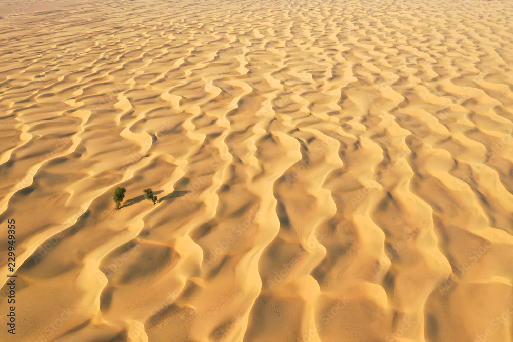 Aerial view of a beautiful golden desert. Dubai, UAE.
