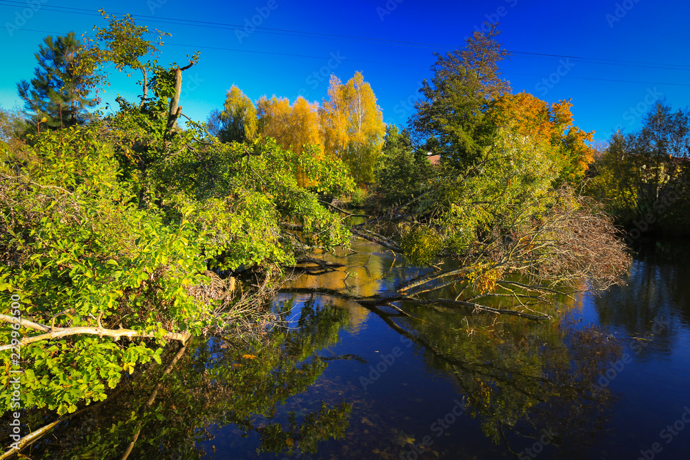 美丽的秋天映照在波兰的湖面上