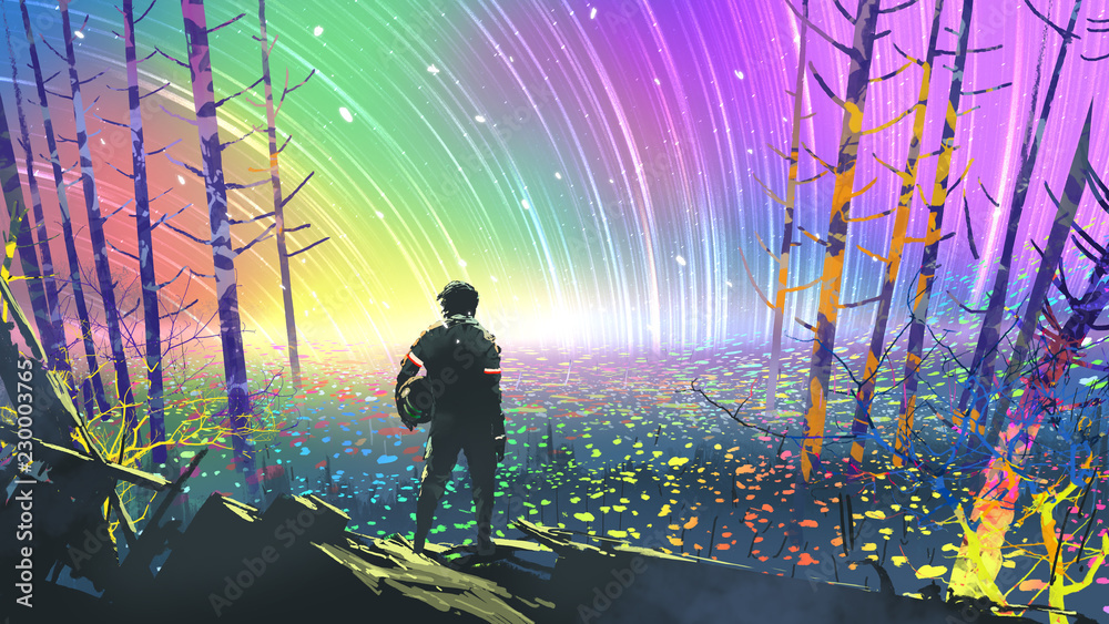 探险家在彩色星球上看花田的风景，数字艺术风格，插图