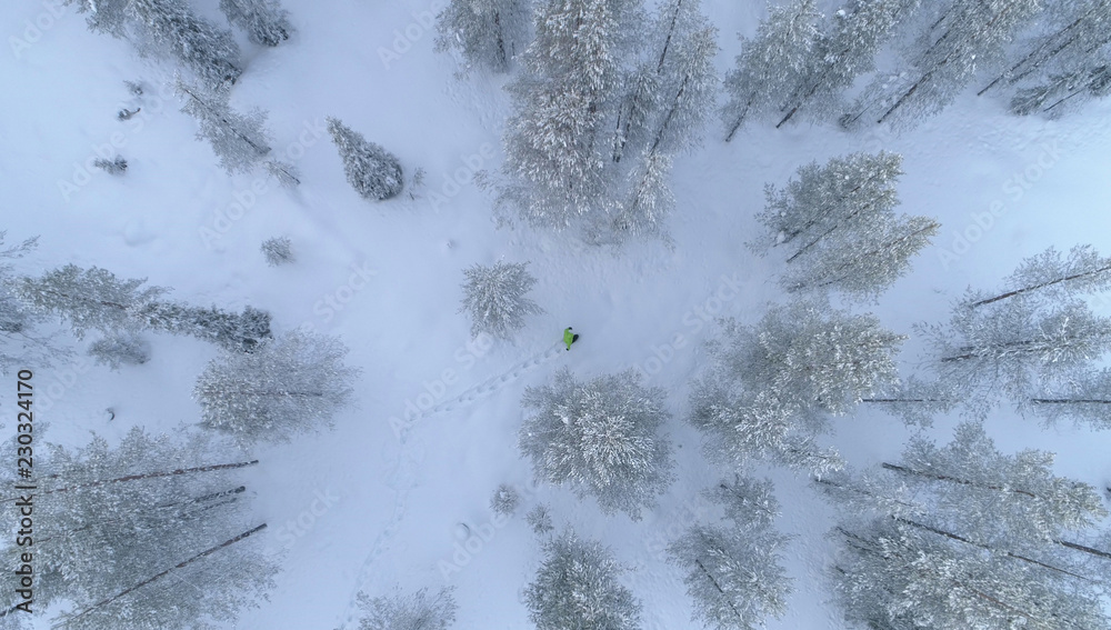空中飞行：在美丽的雪地森林中漫步，在一名游客的头顶上飞行。