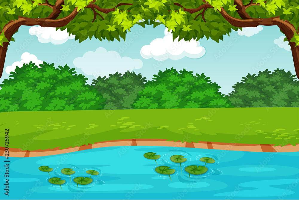 绿色池塘自然景观