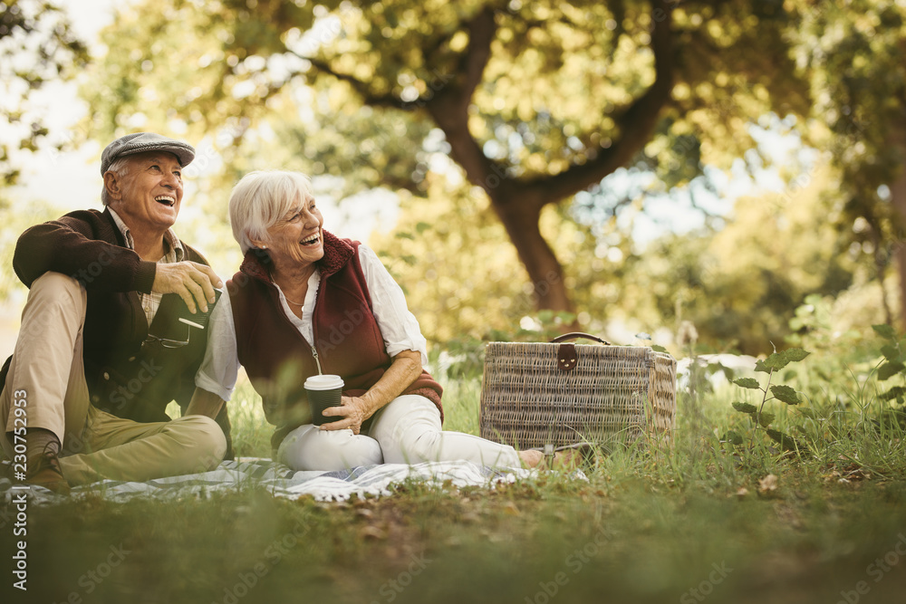 一对老年夫妇在野餐中玩得很开心